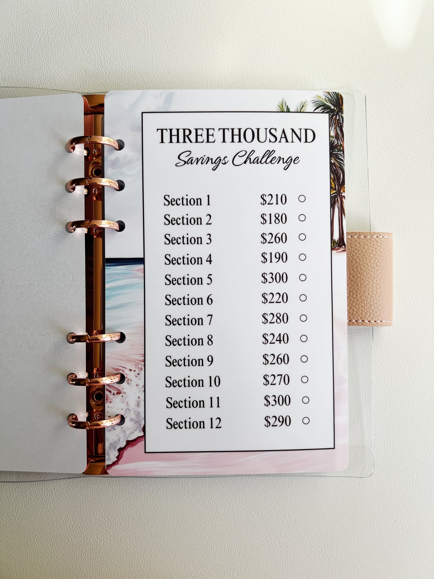$3000 SAVINGS CHALLENGE
